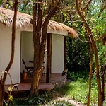 Lodge Atacama horse